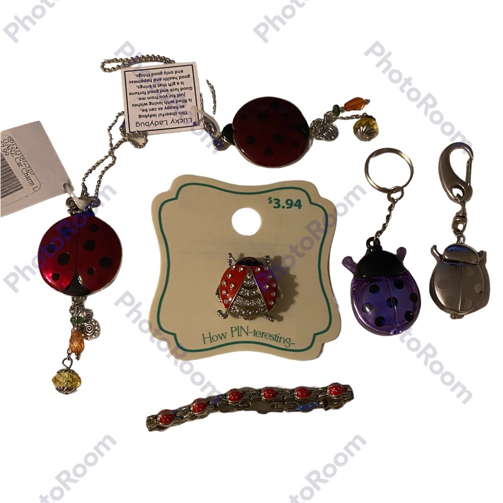 Ladybug jewelry lot